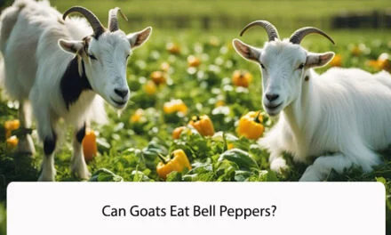 Can Goats Eat Bell Peppers? A Comprehensive Guide