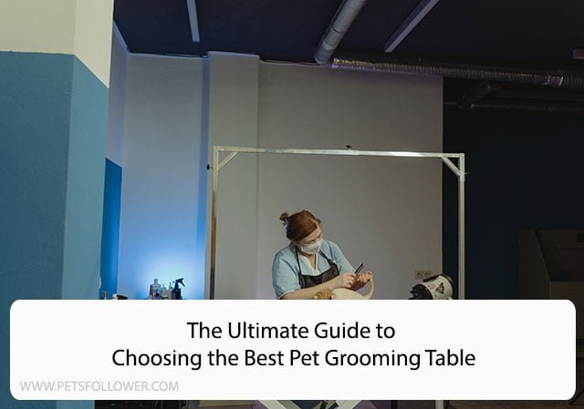 The Ultimate Guide to Choosing the Best Pet Grooming Table