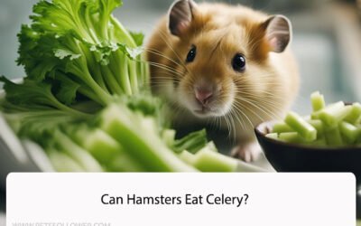 Can Hamsters Eat Celery? A Comprehensive Guide