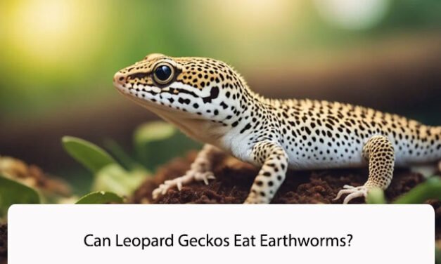 Can Leopard Geckos Eat Earthworms?