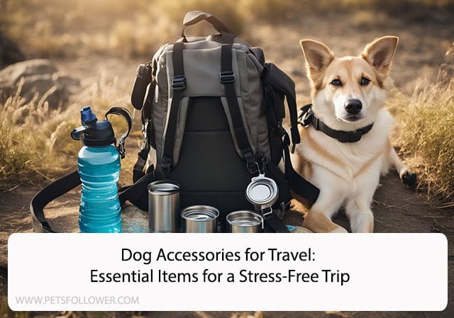 Dog Accessories for Travel: Essential Items for a Stress-Free Trip