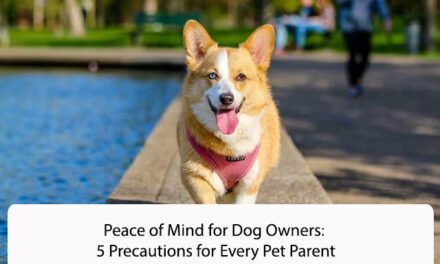 Peace of Mind for Dog Owners: 5 Precautions for Every Pet Parent