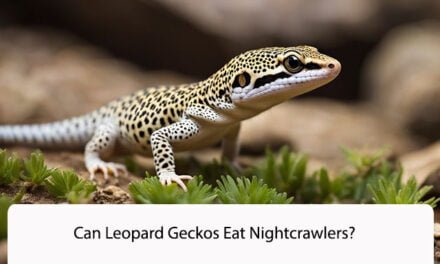 Can Leopard Geckos Eat Nightcrawlers?