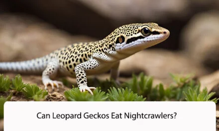 Can Leopard Geckos Eat Nightcrawlers?