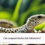 Can Leopard Geckos Eat Silkworms