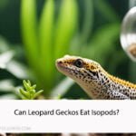 Can Leopard Geckos Eat Isopods