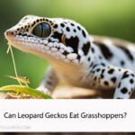 Can Leopard Geckos Eat Grasshoppers