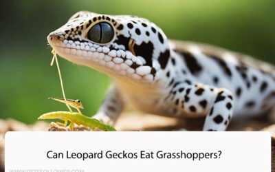 Can Leopard Geckos Eat Grasshoppers?