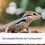 Can Leopard Geckos Eat Cockroaches