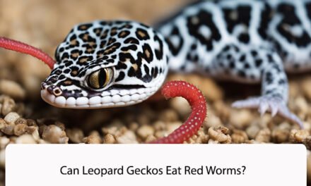 Can Leopard Geckos Eat Red Worms?
