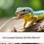 Can Leopard Geckos Eat Wax Worms