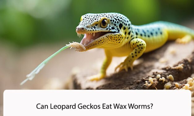Can Leopard Geckos Eat Wax Worms?