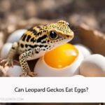 Can Leopard Geckos Eat Eggs