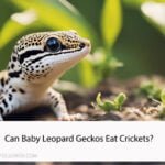 Can Baby Leopard Geckos Eat Crickets