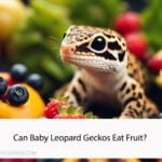 Can Baby Leopard Geckos Eat Fruit