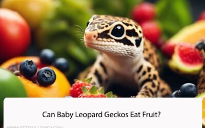 Can Baby Leopard Geckos Eat Fruit?