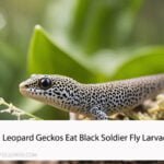 Can Leopard Geckos Eat Black Soldier Fly Larvae