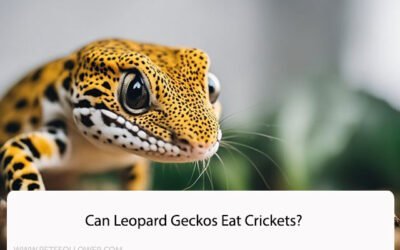 Can Leopard Geckos Eat Crickets?