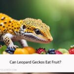 Can Leopard Geckos Eat Fruit