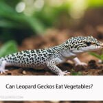 Can Leopard Geckos Eat Vegetables