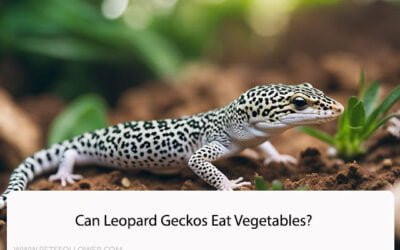 Can Leopard Geckos Eat Vegetables?