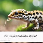 Can Leopard Geckos Eat Worms