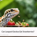 Can Leopard Geckos Eat Strawberries