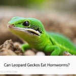 Can Leopard Geckos Eat Hornworms