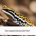 Can Leopard Geckos Eat Flies