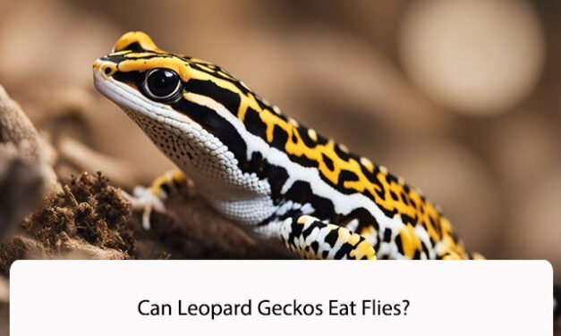 Can Leopard Geckos Eat Flies?