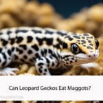 Can Leopard Geckos Eat Maggots