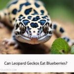 Can Leopard Geckos Eat Blueberries