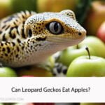Can Leopard Geckos Eat Apples