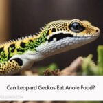 Can Leopard Geckos Eat Anole Food