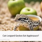 Can Leopard Geckos Eat Applesauce