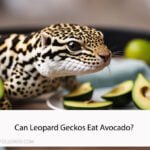 Can Leopard Geckos Eat Avocado