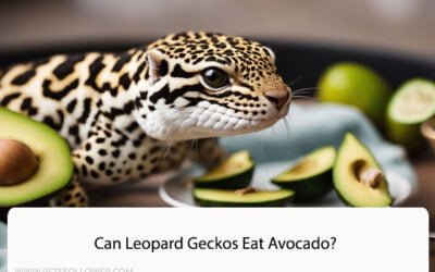 Can Leopard Geckos Eat Avocado?