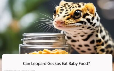 Can Leopard Geckos Eat Baby Food?