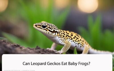 Can Leopard Geckos Eat Baby Frogs?