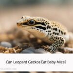 Can Leopard Geckos Eat Baby Mice