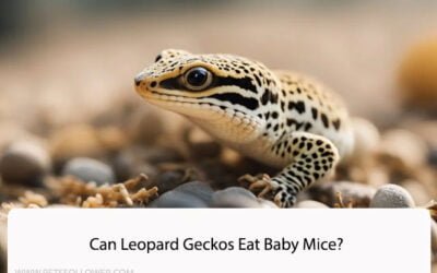 Can Leopard Geckos Eat Baby Mice?