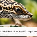 Can Leopard Geckos Eat Bearded Dragon Food
