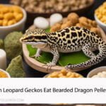 Can Leopard Geckos Eat Bearded Dragon Pellets