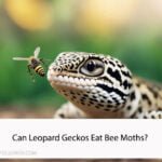 Can Leopard Geckos Eat Bee Moths