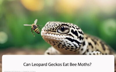 Can Leopard Geckos Eat Bee Moths?