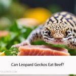 Can Leopard Geckos Eat Beef