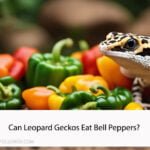 Can Leopard Geckos Eat Bell Peppers