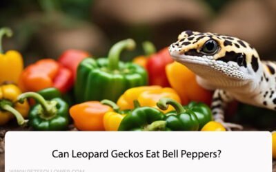 Can Leopard Geckos Eat Bell Peppers?