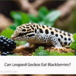 Can Leopard Geckos Eat Blackberries