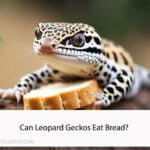 Can Leopard Geckos Eat Bread
